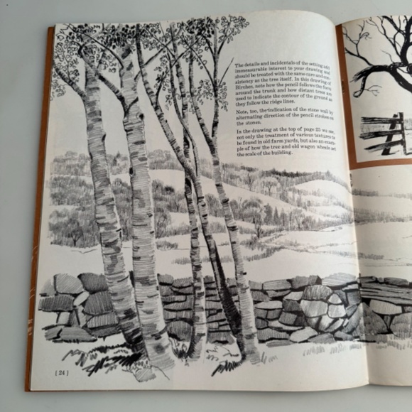 The Art of Drawing Trees from The Grumbacher Library - Picture 3 of 4